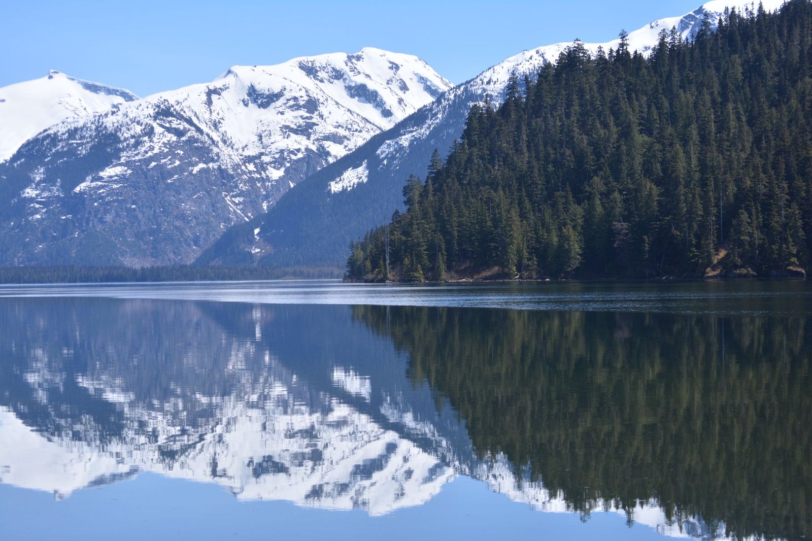 Snow-capped peaks and evergreen forest reflected in a still mountain lake